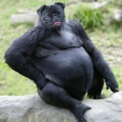 Орк