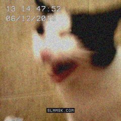 Оррр