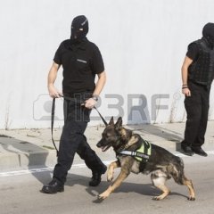 Пес