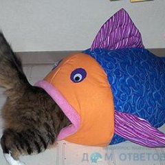 Писос каг круто