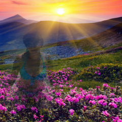 Природа