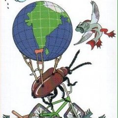 Программистам