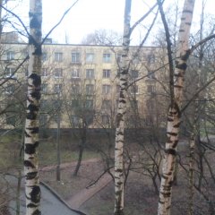 С новым годом
