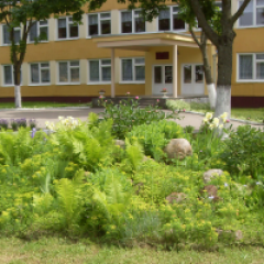 Вва
