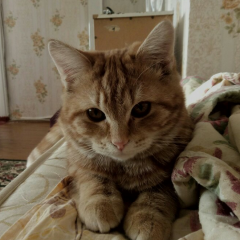 Взгляд