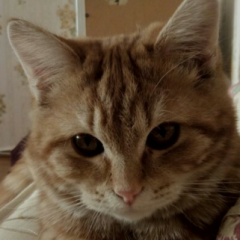 Взгляд