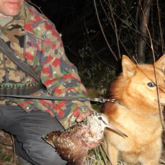 Вжух