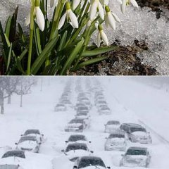 Январь