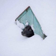 Забавно