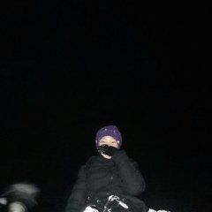 Ж