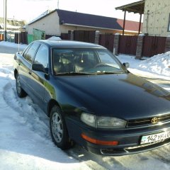 Жалайыр
