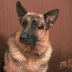 Жрать нехуй