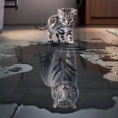 А