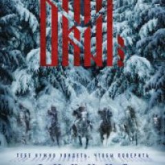 Анти-викинг