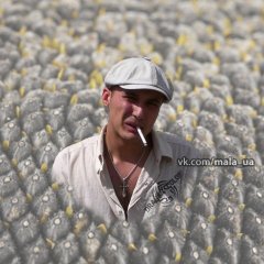 Брутальный толик