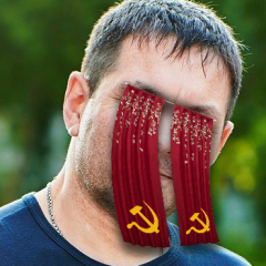 Dianest blinds