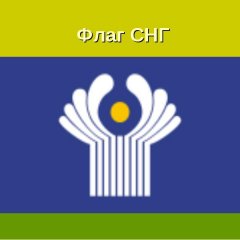 ДИКОРОТИВНОЕ СНГ