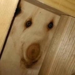Дра