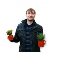 Два кактуса