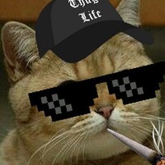 Гангста рыжий кот