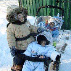 ГАСТЕРЫ В РАШКЕ