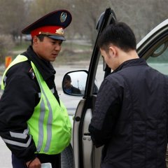 Гай талдык