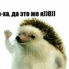 Ха-ха да это же я0