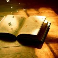 Книга