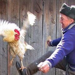 Когда лезут с советами
