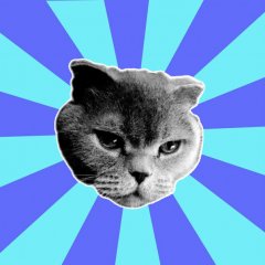 Кот-Абормот