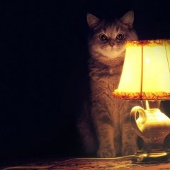 Кот лампа