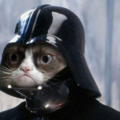 Котейка