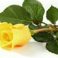 Подарок