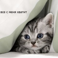 С меня хватит