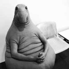 Seal