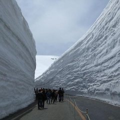 Снег