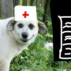 Собака врач