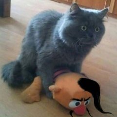 СУГС