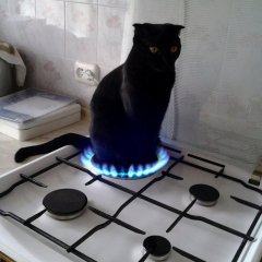 Умер