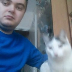Веселая жизнь
