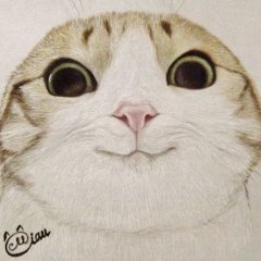 Здратути
