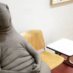 Ждун