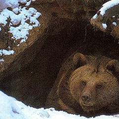А мы-то уже не спим