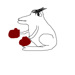 ANGRY FROG