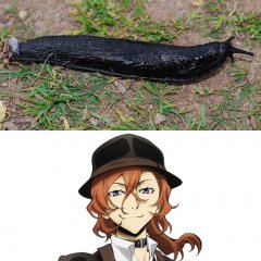 Чуя