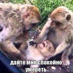 Дайте умереть