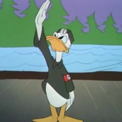 Duck