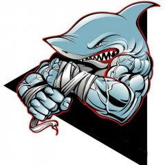 Evil sharks