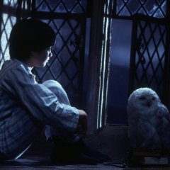 Гарри Поттер