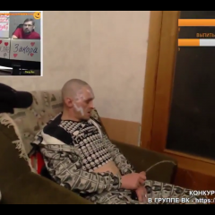 Мопс обоссался